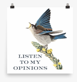 My Opinions"  Srcset="data - Blue Bird, HD Png Download, Free Download